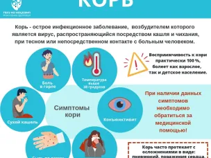 Внимание! КОРЬ!